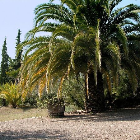 Catalunya Casas Rural Charm On An Olive Farm In Costa Dorada! Vespella de Gaia Экстерьер фото